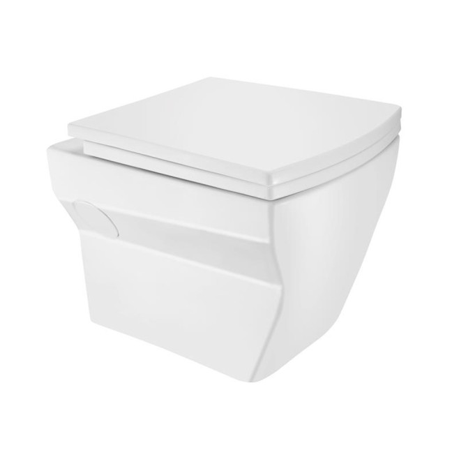 Wall Hung WC