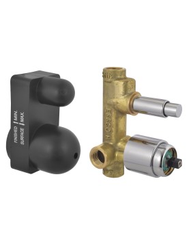 Concealed Body for Single Lever Divertor